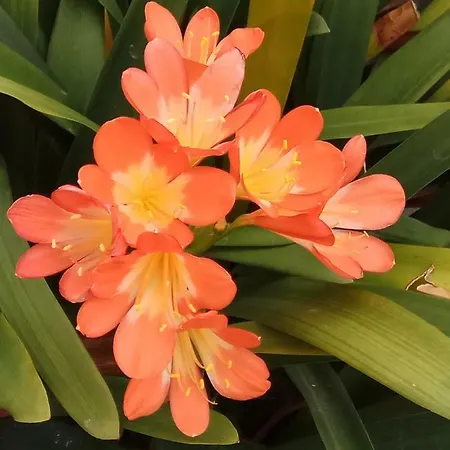 公寓 Cozy Loft 托雷莫利诺斯